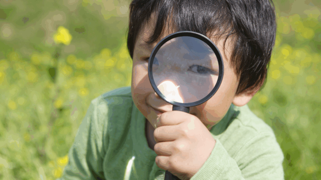 Sample(サンプル)