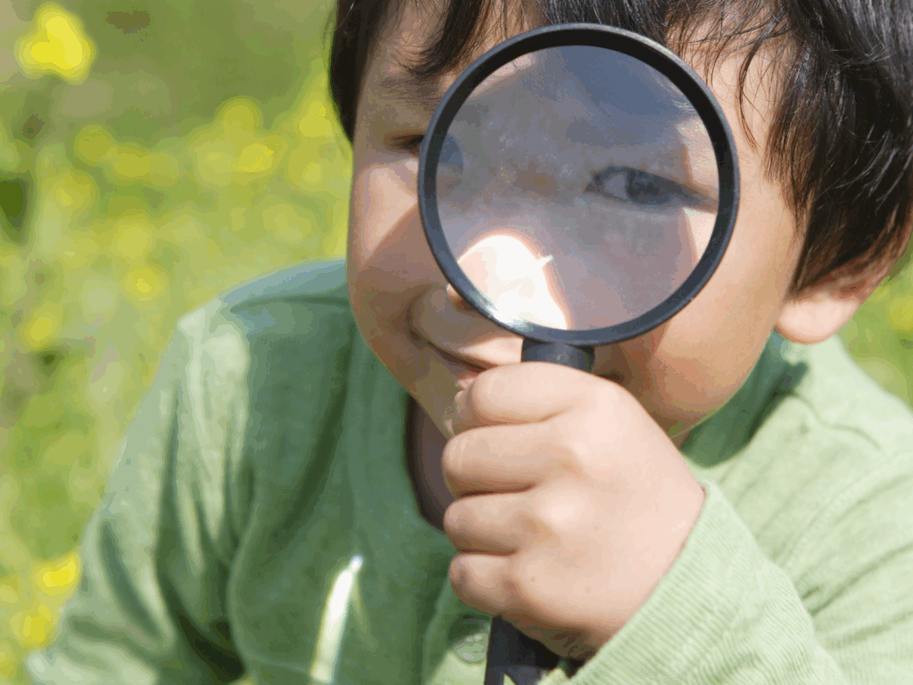 Sample(サンプル)